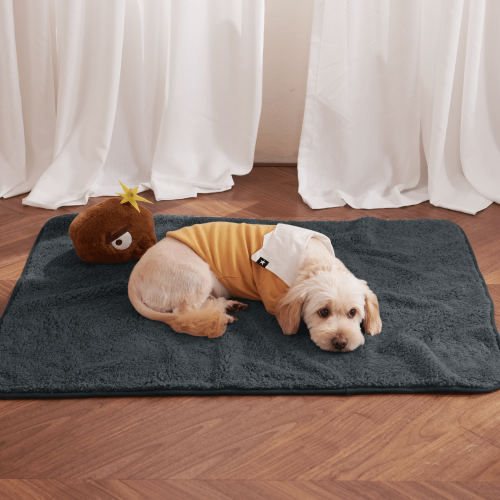 Waterproof floor mats for dogs sales