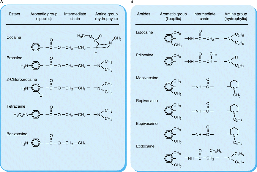 Custom Benzocaine vs Lidocaine 