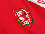 1982 Wales home Retro Soccer jersey