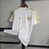 Italy soccer Association 125th Anniversary Commemorative soccer Jerseys