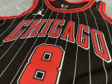 Chicago Bulls Announcement version No. 8 LaVine