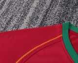 Portugal 2006 Home kids Soccer jersey