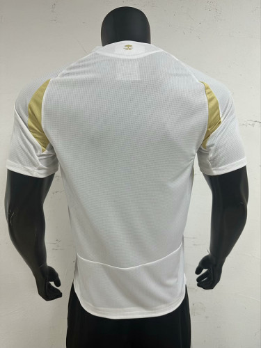 Saudi Al Nassr 2024/25 Ronaldo Third away player version size S-2XL