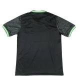 Feyenoord  2024/2025  Away   Soccer jersey