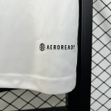 Japan 2024/25 ACE special Jersey