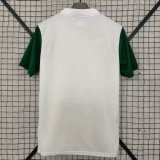 Palmeiras 2025/26 away Soccer jersey