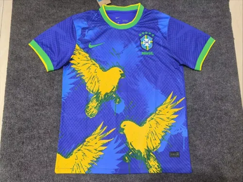 Brazil 2025/26 Special Edition Blue Jersey