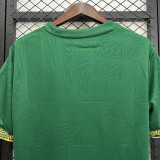 Mexico 2025 Green Gold Cup  Jersey