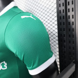Palmeiras 2025/26 Home all sponsors  Player Edition  size S-2XL
