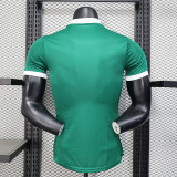 Palmeiras 2025/26 Home all sponsors  Player Edition  size S-2XL