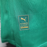 Palmeiras 2025/26 Home all sponsors  Player Edition  size S-2XL