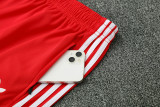 Bayern München 2025/26 Red training suit