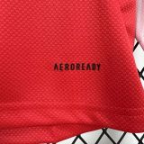 Benfica 2025/26  home  long Soccer jersey
