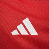 Benfica 2025/26  home  long Soccer jersey