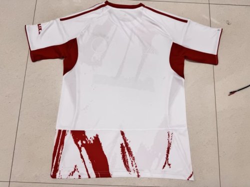 Olympiacos   2025/26 Away Soccer Jersey  S-XXL