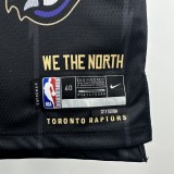 25th season Raptors City Edition No. 15 Carter NBA Jersey