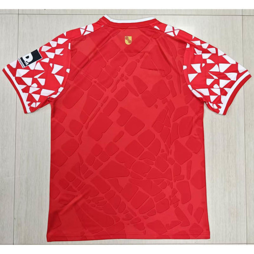 FSV Mainz 05 2025/26 Home Soccer Jersey
