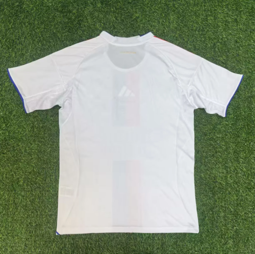 Lyon 2025/26  home soccer jersey size S-4XL