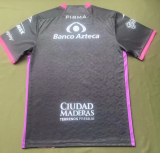 Puebla 2025/26 Away Soccer  Jersey