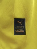 Palmeiras 2025/26 Third Away  Player Edition  size S-2XL
