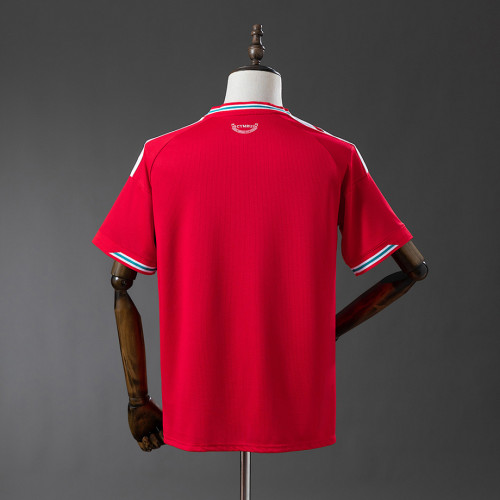 Wales  2026 World Cup Home soccer jersey size S-4XL