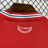 Wales  2026 World Cup Home soccer jersey size S-4XL