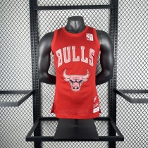 Chicago Bulls ×Blackpink #16 Swingman Jersey S-XXL