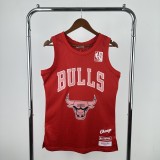 Chicago Bulls ×Blackpink #16 Swingman Jersey S-XXL