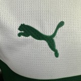 Palmeiras 2025/26 Special Edition Player Edition  size S-2XL