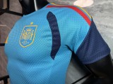 Spain 2026  Sky Blue Training Player Version jersey
