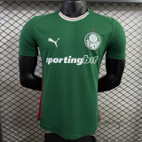 Mens Palmeiras 2026/27 Home Jersey Player Version S-4XL