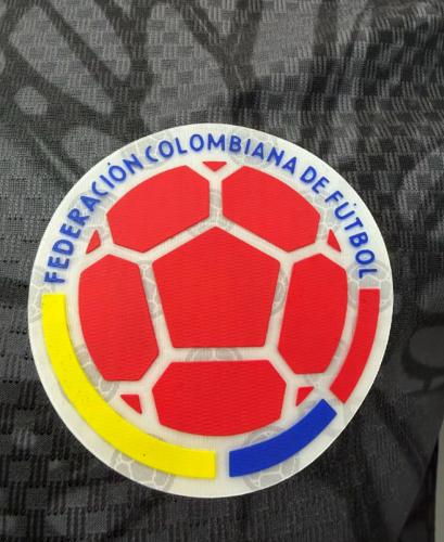 Colombia 2026 Gray Player Version Training Jersey  S-XXL