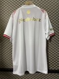 PSV Eindhoven  2025/26 Tjird Away Jersey S-4XL