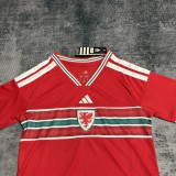 Wales 2026 World Cup Home kid kit size 16-28