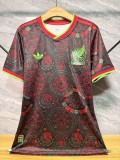 Mexico 2026 World Cup Red And Green Special player version size S-2XL