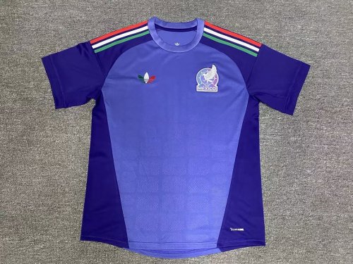 Mexico 2026 World Cup Purple Goalkeeper Jersey size S-2XL
