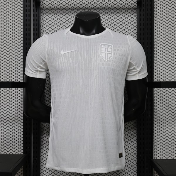 Mens Norway 2026 World Cup Third Away player version soccer jersey S-2XL