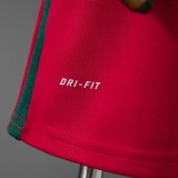 Retro Portugal 2016 home kids Soccer jersey