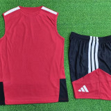 Germany  2025/26 Red Vest  Suit Size S-4XL