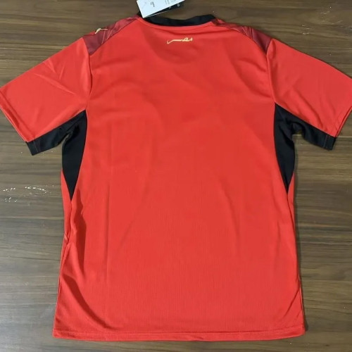 Egypt  2026 World Cup Home Jersey S-4XL