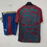 Portugal 2026 Blue And Red Training suit size S-2XL