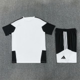 Juventus  2026/27 White  Training Suit Size S-2XL