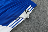 Juventus  2026/27 Vivid blue Training Suit Size S-2XL