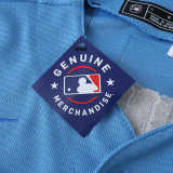 MLB Chicago Cubs Blue Jersey SWANSON #7 S-3XL