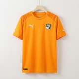 Retro Cote d Ivoire 2014  Home Soccer jersey Size S-2XL