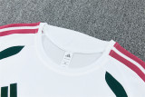 Real Madrid 2026/27 White and Green  Training suit size S-2XL
