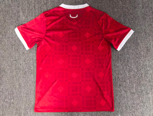Wales  2026/27 Home soccer jersey size S-4XL