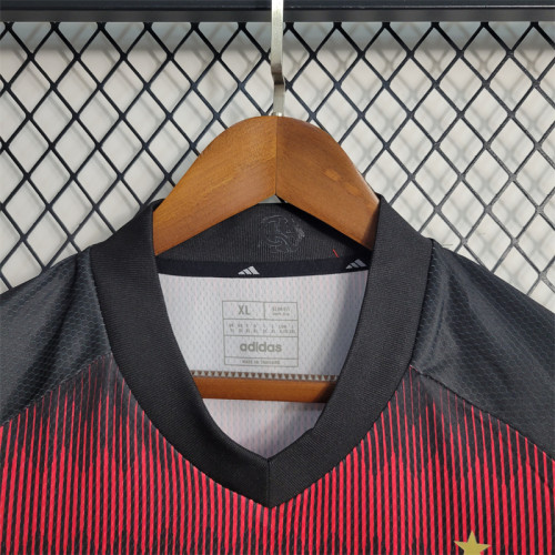Fans Version 23/24 Flamenco Jersey Football Jersey Custom Name 2023 2024 Soccer Shirt