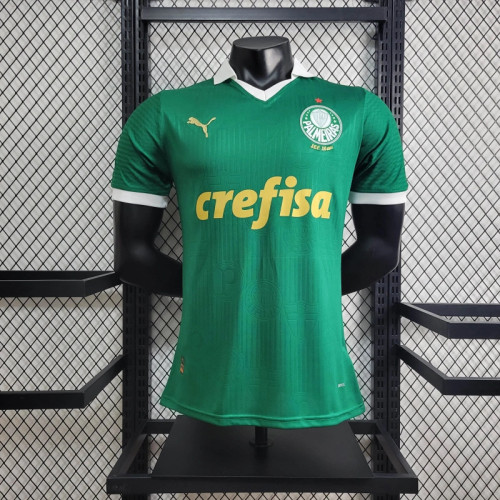 Player Palmeiras Home Kit 24/25 Football Jersey
