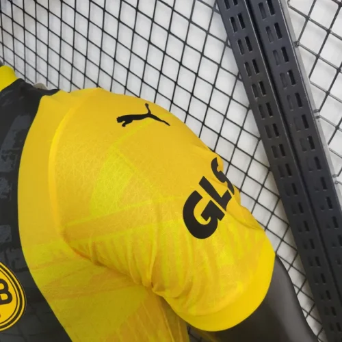 Player Dortmund Special Jersey 24/25 Football Kit